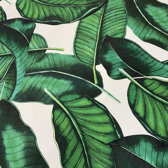 Rental store for Beverly Poly Print 132  Rd in New Orleans LA